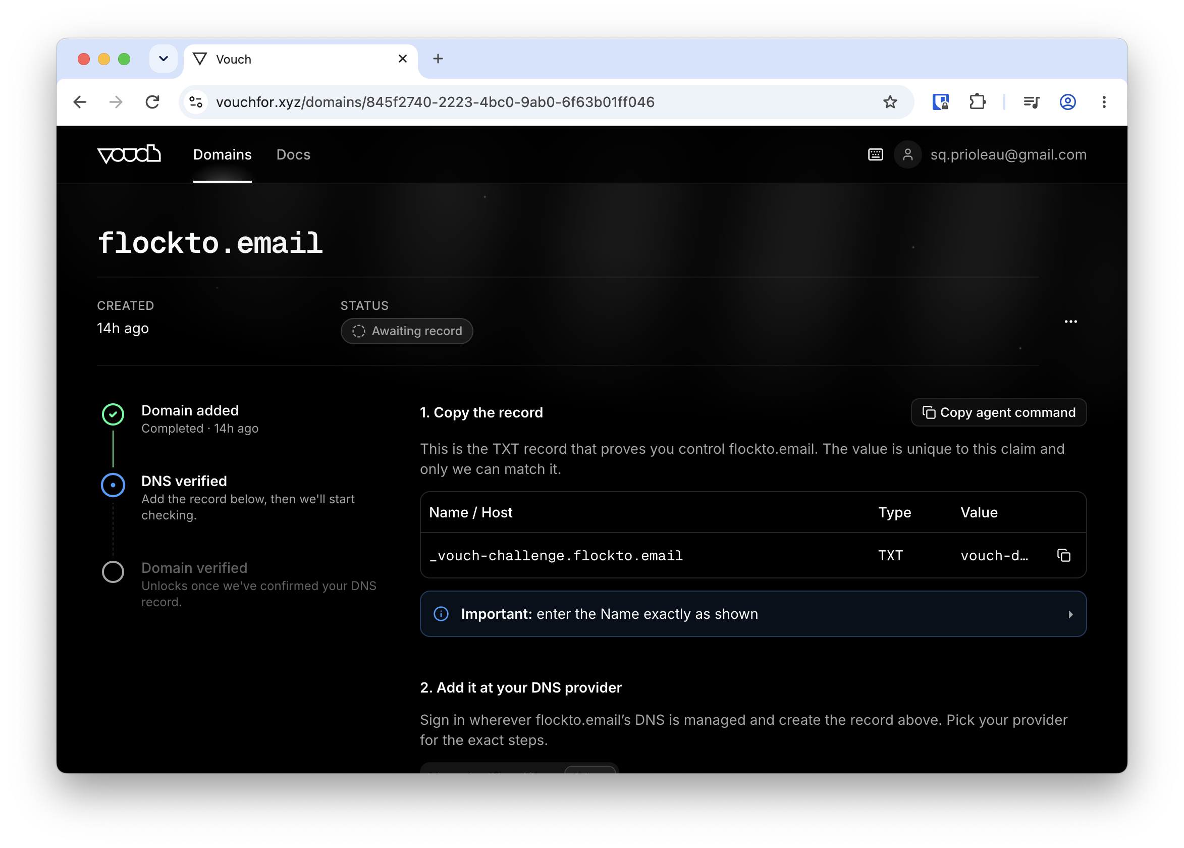 The claim detail page, showing the DNS record and setup steps